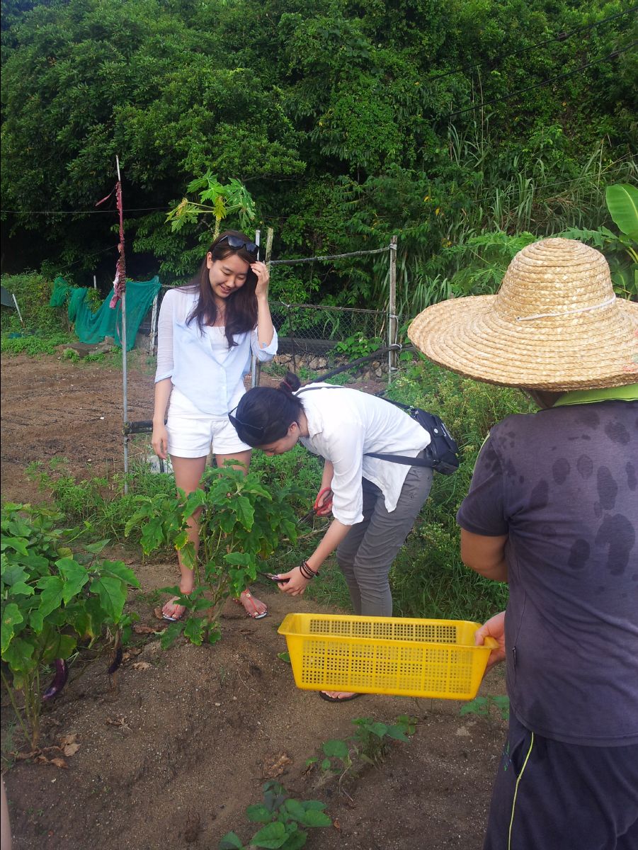 20100715Organic Farm13